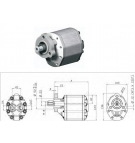 Gear pump Binotto LTA-40 D.22 R